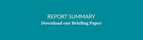 Report Summary